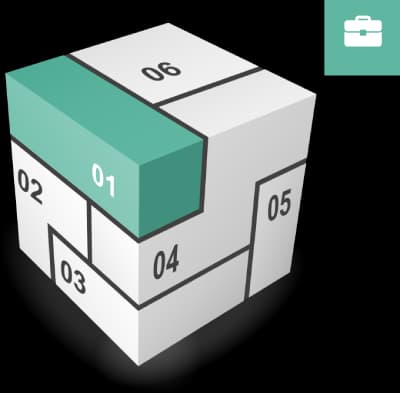 CYBORG – Business Rule Engine